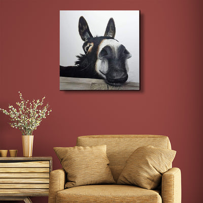 Hee Haw The Donkey Canvas