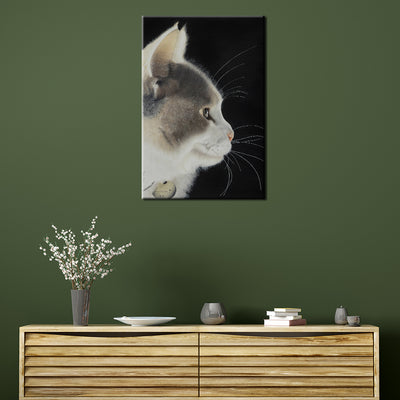 Lumi The Cat Canvas