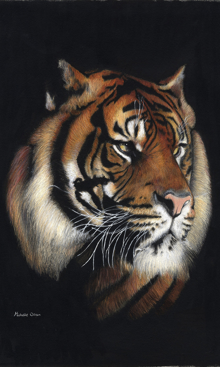 Rajah The Tiger Print