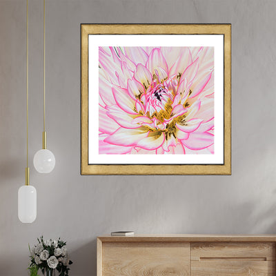 Awakening Pink Blooming Flower Framed