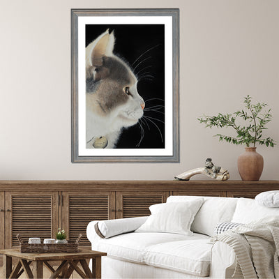 Lumi The Cat Framed