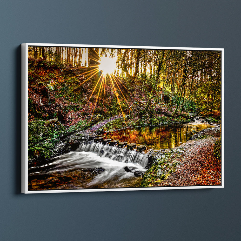 Tollymore Forest Autumn Sunburst