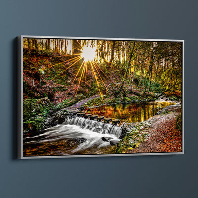 Tollymore Forest Autumn Sunburst