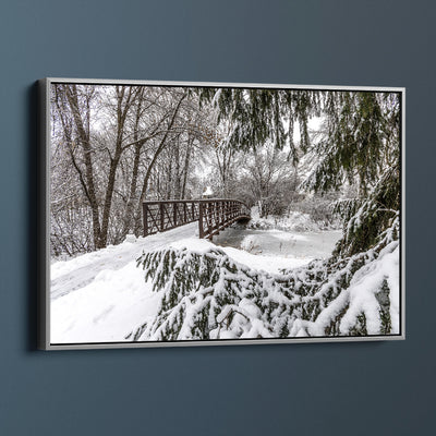 Minnesota Forest Snowy Bridge